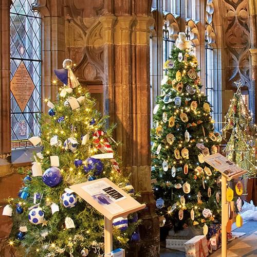 Chrisrmas trees at Worcester Cathedral