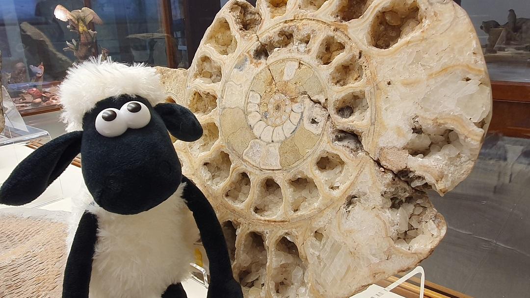 Shaun the sheep