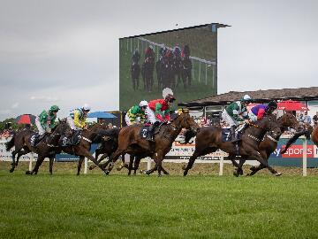 Horses racing