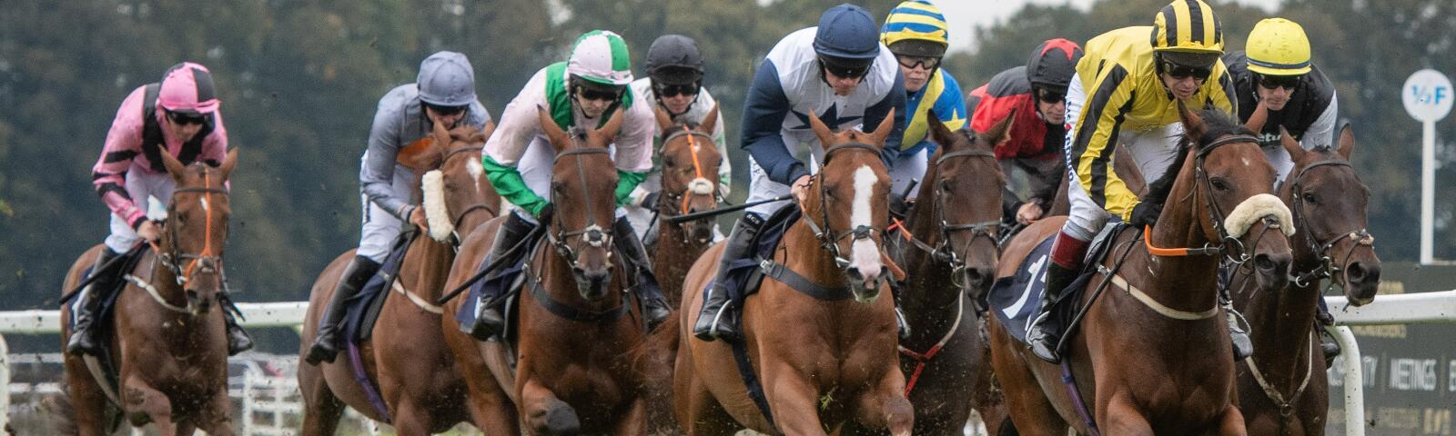 horses racing