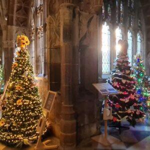Christmas trees in the cathedral
