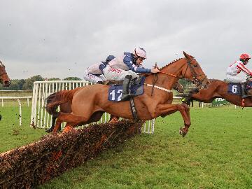 horse jumping over a flight of hurdles