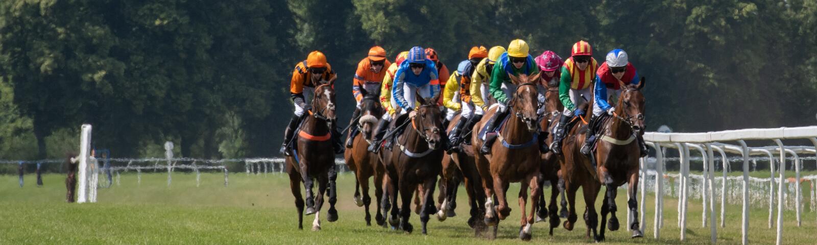 horses racing around a racecourse